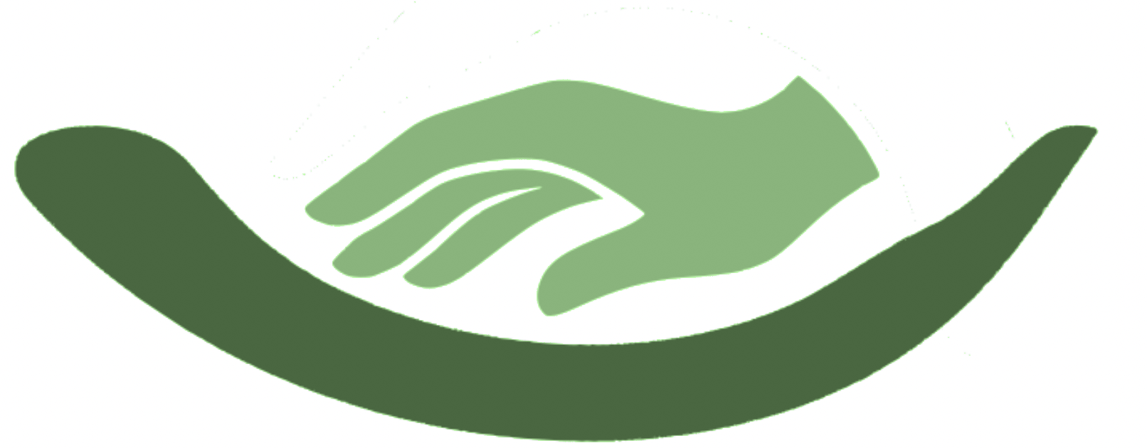 Hemi-Hand logo